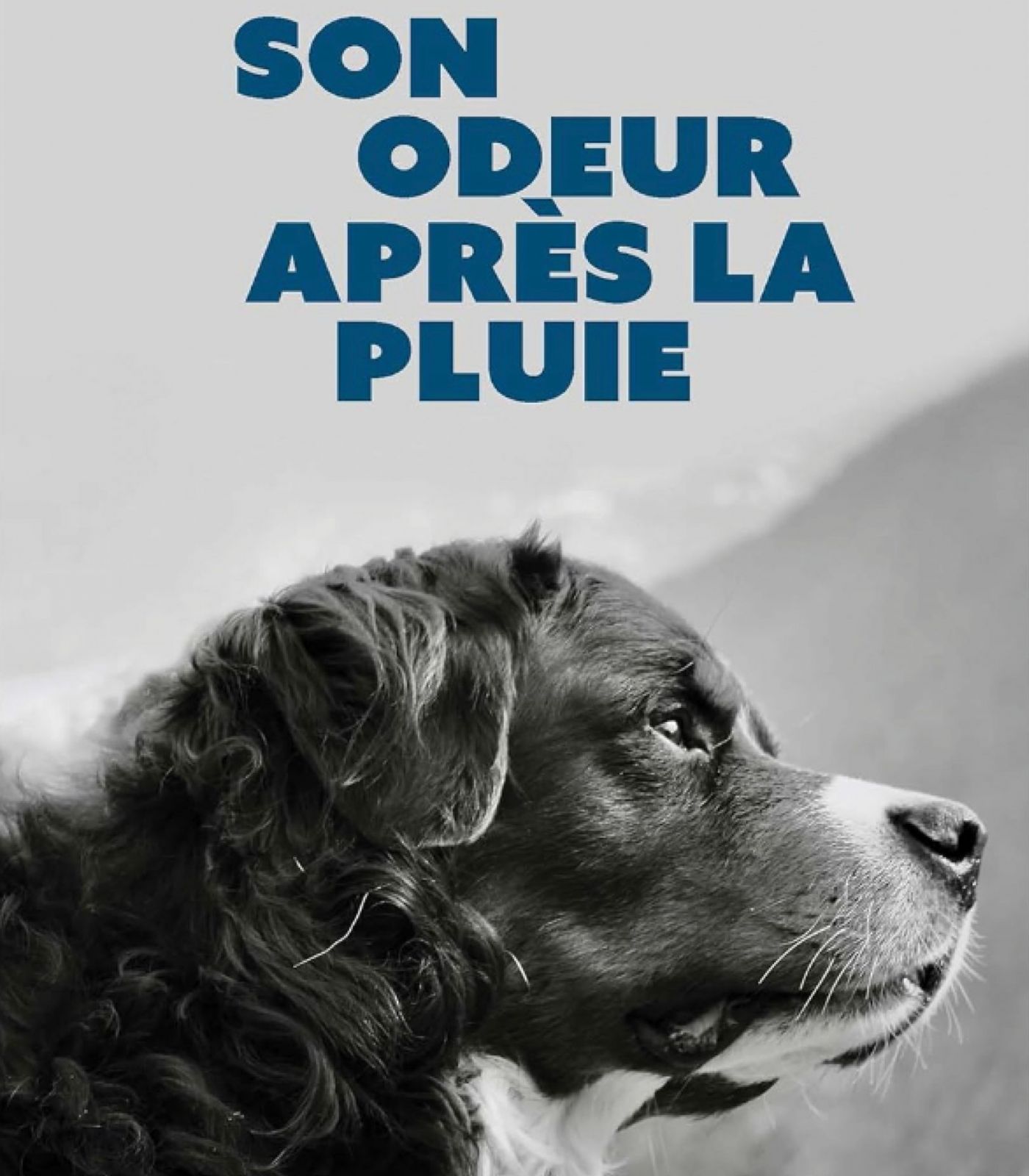 Son odeur apres la pluie